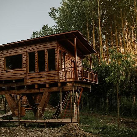 Bonita Cabana De Los Arboles En La Rioja , Durmiendo Entre Arboles Anguciana ภายนอก รูปภาพ