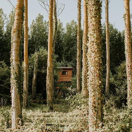Bonita Cabana De Los Arboles En La Rioja , Durmiendo Entre Arboles Anguciana ภายนอก รูปภาพ