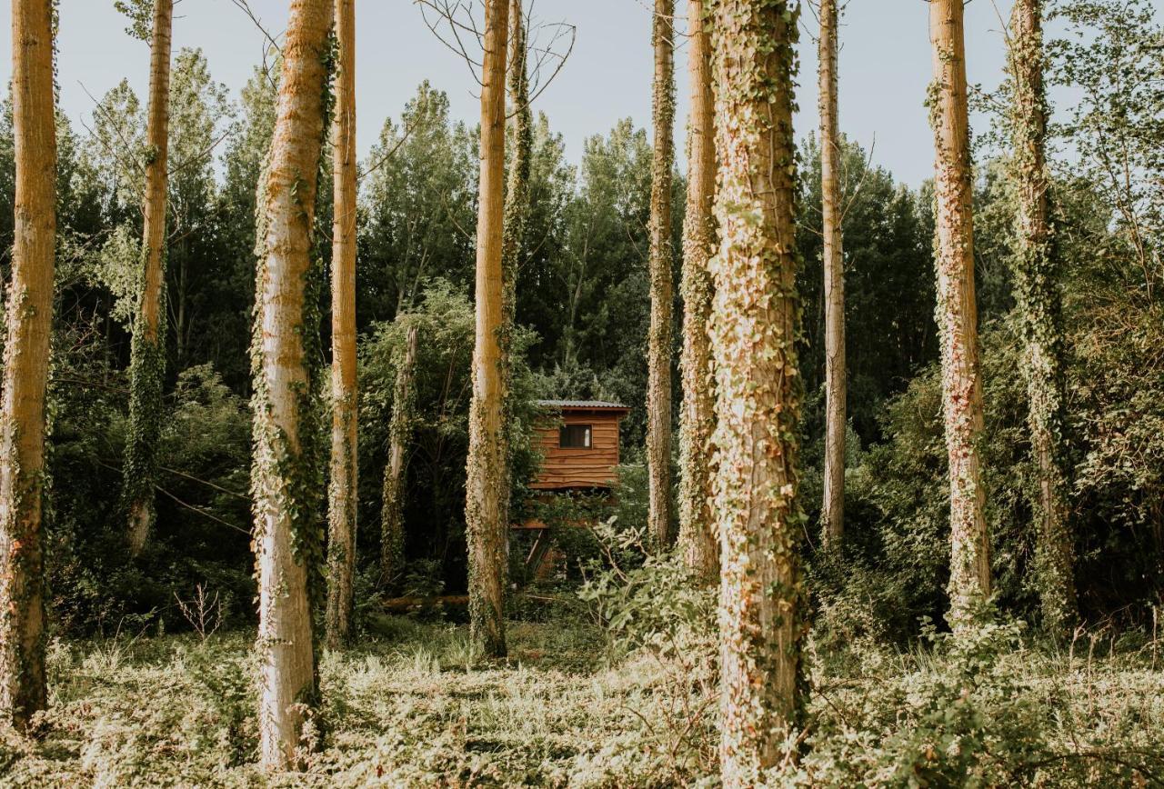 Bonita Cabana De Los Arboles En La Rioja , Durmiendo Entre Arboles Anguciana ภายนอก รูปภาพ
