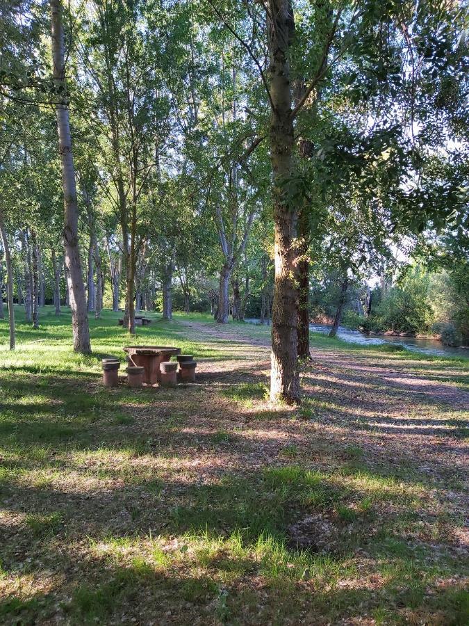 Bonita Cabana De Los Arboles En La Rioja , Durmiendo Entre Arboles Anguciana ภายนอก รูปภาพ