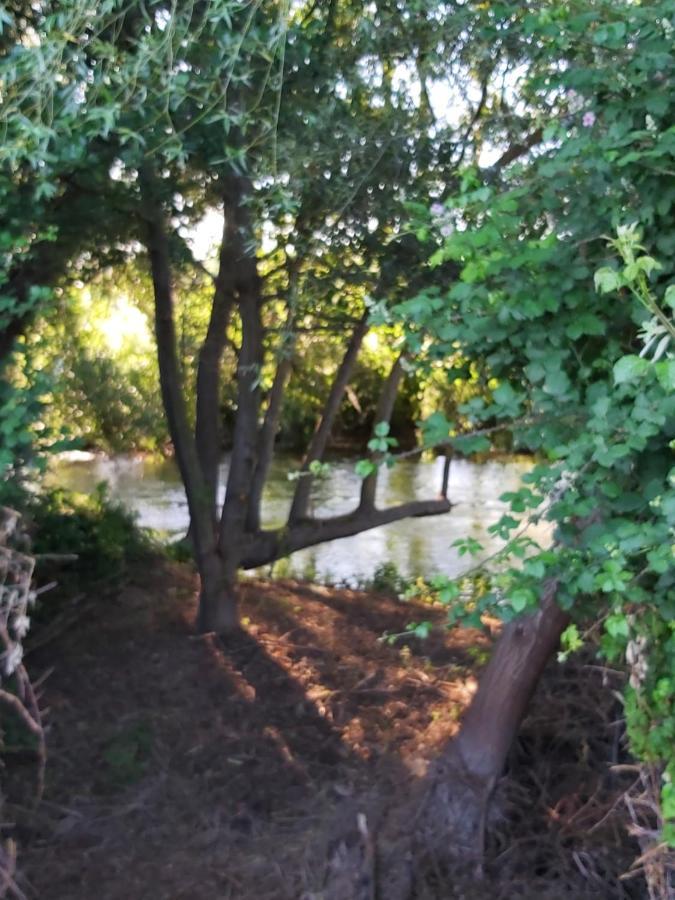 Bonita Cabana De Los Arboles En La Rioja , Durmiendo Entre Arboles Anguciana ภายนอก รูปภาพ