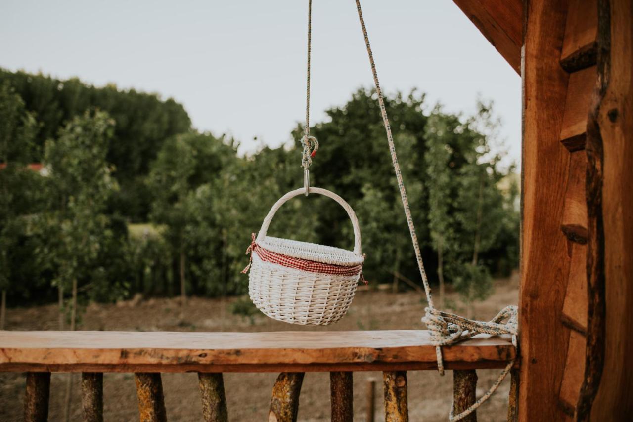 Bonita Cabana De Los Arboles En La Rioja , Durmiendo Entre Arboles Anguciana ภายนอก รูปภาพ